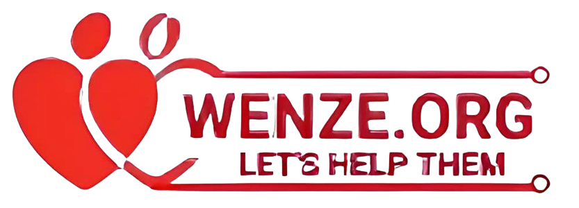Wenze Foundations